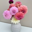 Load image into Gallery viewer, Dahlia Tubers