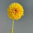 Load image into Gallery viewer, Florelie Dandelion Dahlia Tuber
