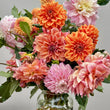 Load image into Gallery viewer, Kwinana Gold Dahlia Tubers
