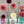 Load image into Gallery viewer, Dahlia Tubers

