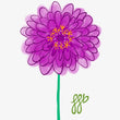 Load image into Gallery viewer, Zinnia Elegans Purple Prince
